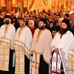 Изабрани Митрополит Јоаникије