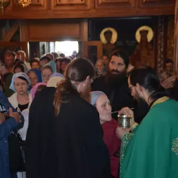 Тројичиндан прослављен у Острогу, богослужио Митрополит Јоаникије