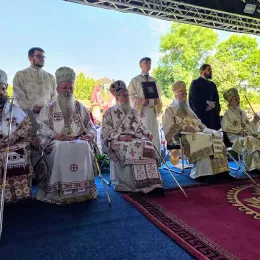 Митрополит Јоаникије на Видовдан