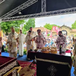 Митрополит Јоаникије на Видовдан