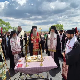 Митрополит Јоаникије на Видовдан