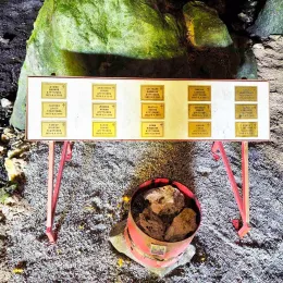 Служена Света литургија у Брезнима – мјесту страдања дијела Светих мученика пивских