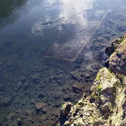 Нађена капија, која је отуђена са црквишта Светог Василија Острошког у Мартиновићима