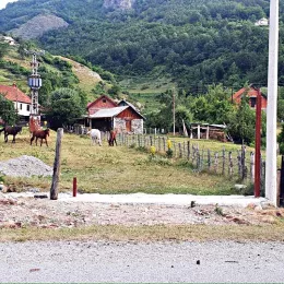 Вандалски чин над светињом Светог Василија Острошког код Гусиња
