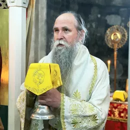 Владика Јоаникије