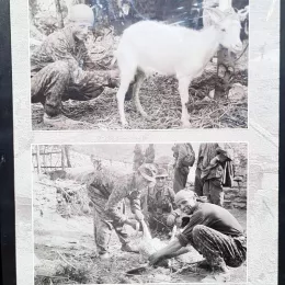 Епископ Јован Ћулибрк на молитвеном сабрању у Велици