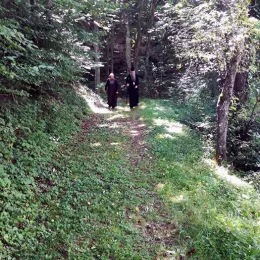 Црквено-народни сабор на празник Свете Петке Параскеве