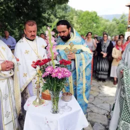 Слава манастира Златеш