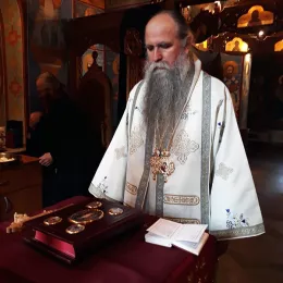 Владика Јоаникије служио у Шудикови