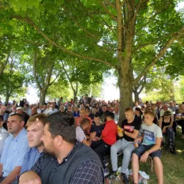 Илиндан у Шекулару