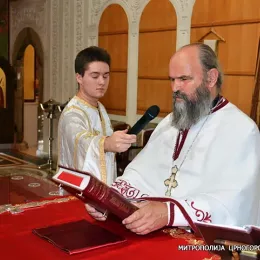 Митрополит Амфилохије