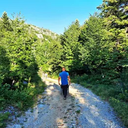 Укључимо се у акцију и помогнимо поправку пута према манастиру Сомина