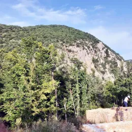 ХРИШЋАНСКЕ СТАРИНЕ У ВАСОЈЕВИЋИМА И ХОТИМА