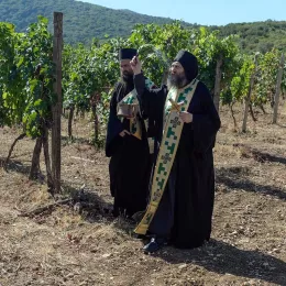 Молебан за успешан почетак бербе у Хиландару