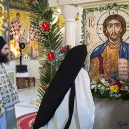 Хиротонија и устоличење Епископа Захумско-херцеговачког и приморског Господина Димитрија