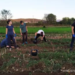 Моба на економији Саборног храма у Никшићу