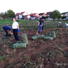 Моба на економији Саборног храма у Никшићу