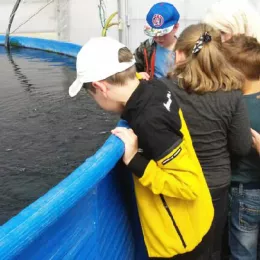 Аквапонија – иновативна пољопривреда