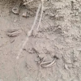 САОПШТЕЊЕ ЕПАРХИЈЕ РАШКО – ПРИЗРЕНСКЕ ПОВОДОМ ЈОШ ЈЕДНОГ У НИЗУ СКРНАВЉЕЊА ПРАВОСЛАВНИХ ГРОБАЉА