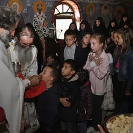 Слава манастира Светог Луке у Жупи Никшићкој