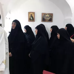 Владика Методије