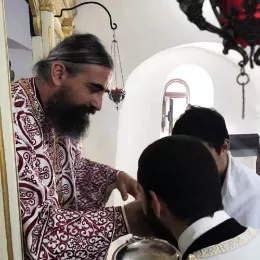 Владика Методије