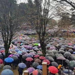 Велики црквено-народни сабор у Никшићу - ФОТОГАЛЕРИЈА
