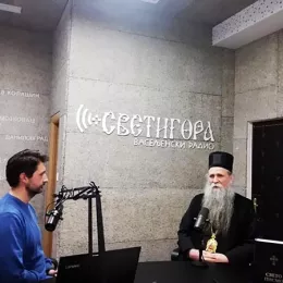 Владика Јоаникије