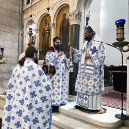 Епископ Методије у Никшићу