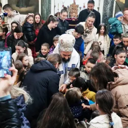 Епископ Методије у Никшићу