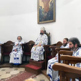 Епископ Методије у Никшићу