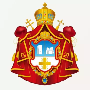 Реч о трансплантацији органа и појединим инсинуацијама