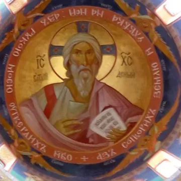 Одговор госпођи Јелени Петровић