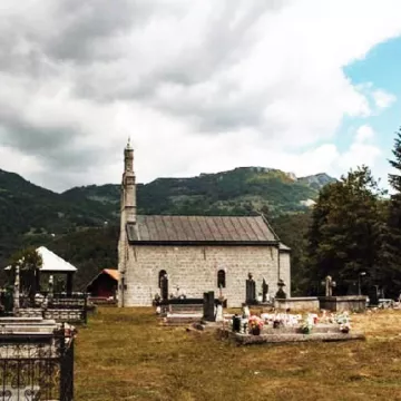 Поља мојковачка