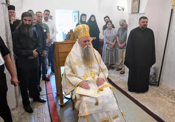 Митрополит Јоаникије у Петровићима 